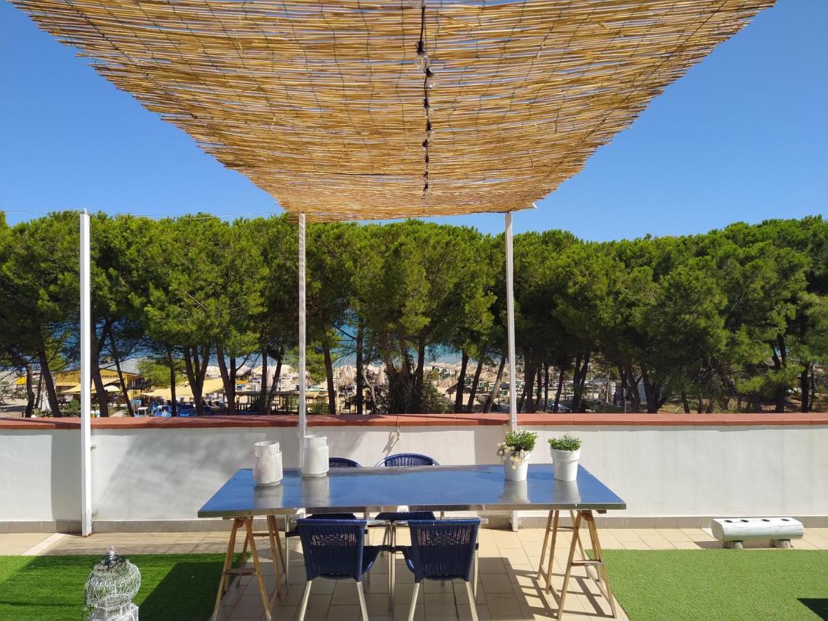 Hotel Petit Silvi Marina Extérieur photo
