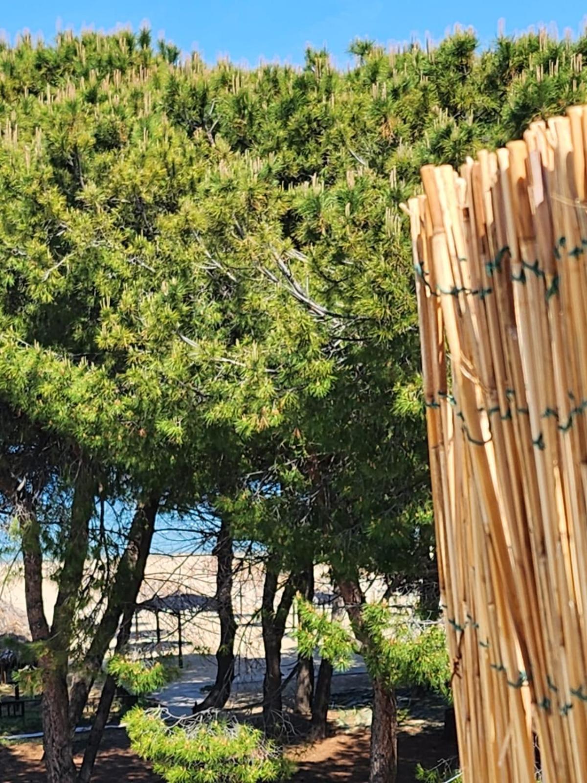 Hotel Petit Silvi Marina Extérieur photo