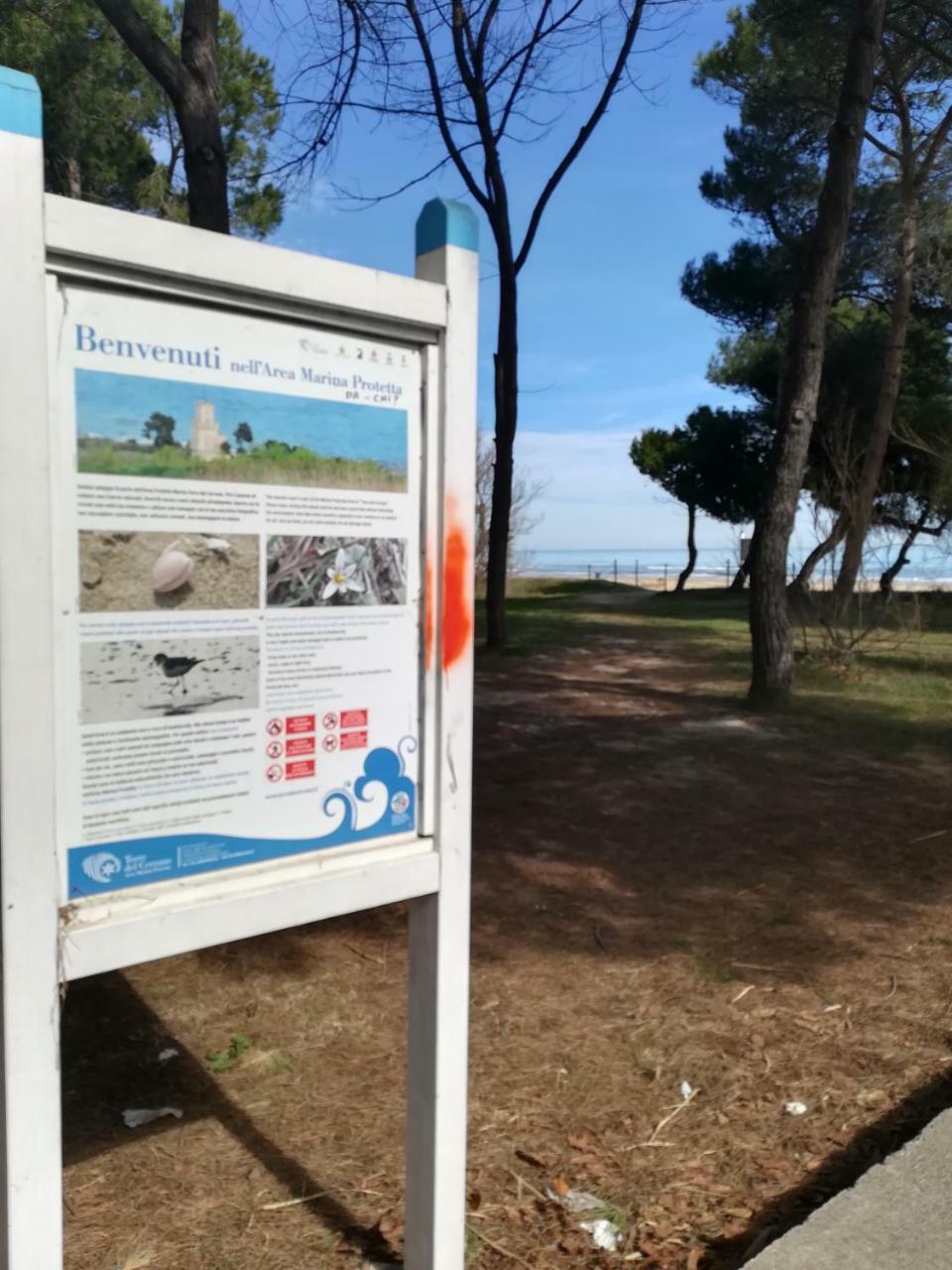 Hotel Petit Silvi Marina Extérieur photo
